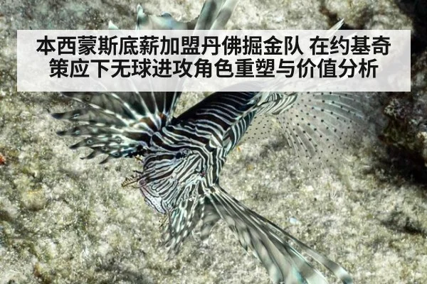 本西蒙斯底薪加盟丹佛掘金队 在约基奇策应下无球进攻角色重塑与价值分析